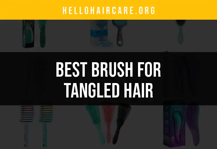 17 Must-Know Brushes for Tangled Hair featured