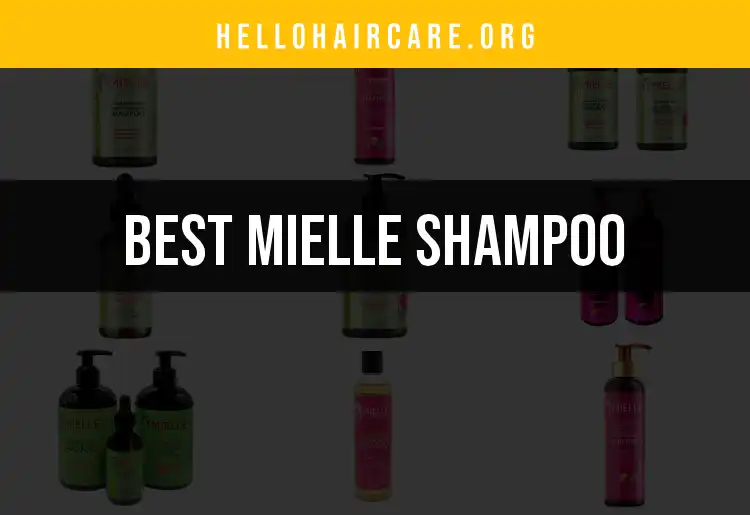 12 Must-Know Mielle Shampoo Products for Perfect Hair