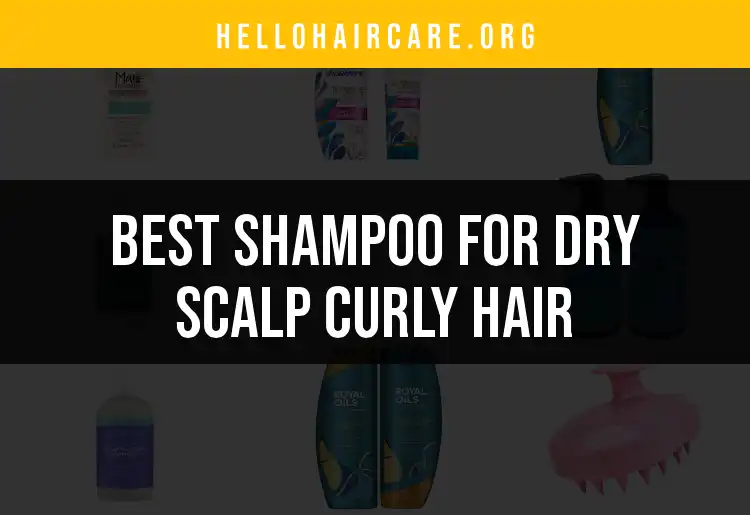 20 Best Shampoos for Dry Scalp Curly Hair featured